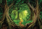 Papier peint photo - Papier Peint Intissé - Forêt Tropicale - Jungle - 416 x 254 cm