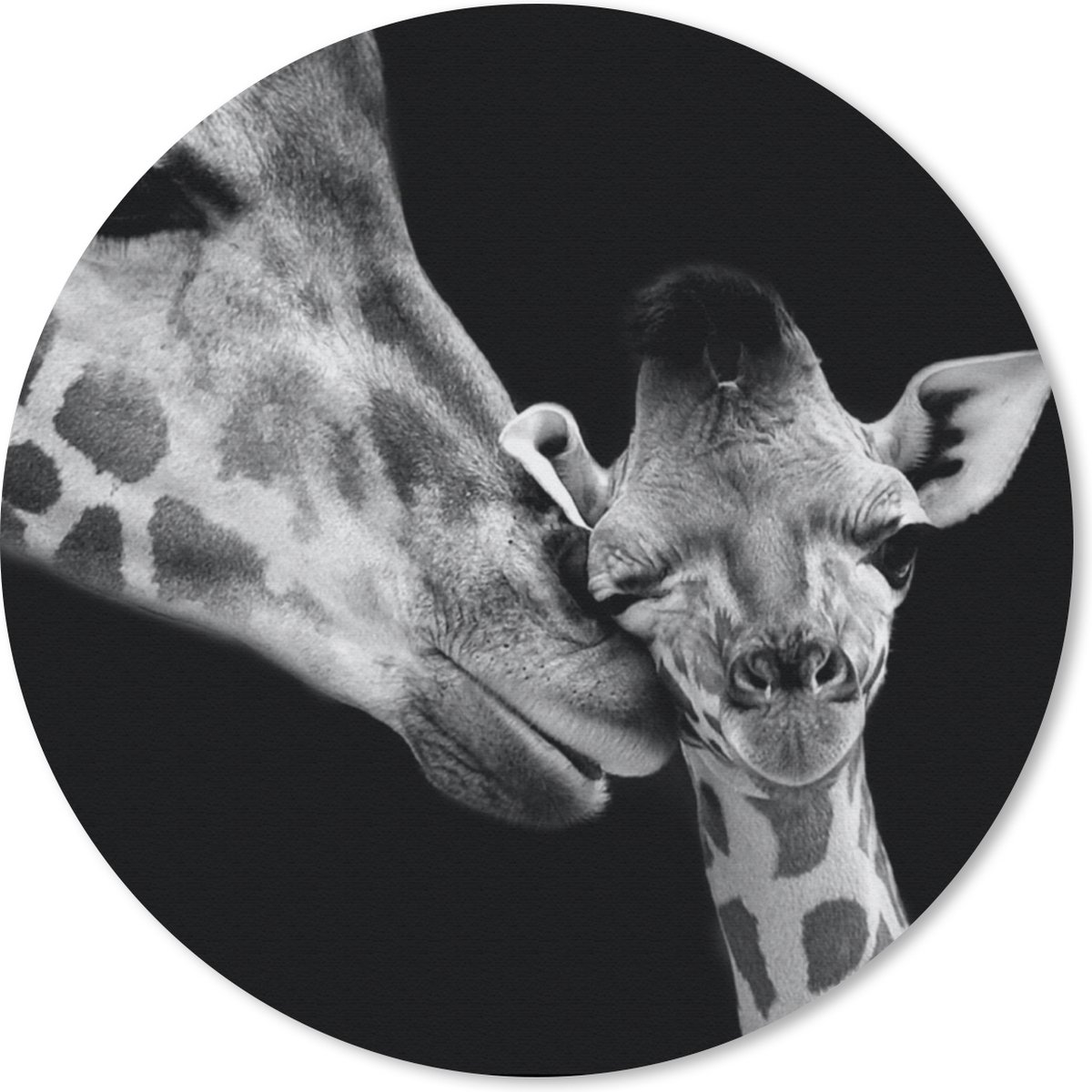 Muismat rond 30x30 cm - Mousepad Dieren - Zwart - Wit - Giraffe - Portret - Ronde muismatten