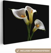 Canvas Schilderij Planten - Bloemen - Wit - Natuur - Botanisch - 30x20 cm - Wanddecoratie