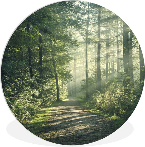 WallCircle - Wandcirkel 90x90 - Bos - Pad - Zon - Bomen - Groen - Natuur - Ronde schilderijen woonkamer - Wandbord rond - Muurdecoratie cirkel - Kamer decoratie binnen - Wanddecoratie muurcirkel - Woonaccessoires