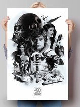 Star Wars 40 jaar - Poster 61 x 91.5 cm