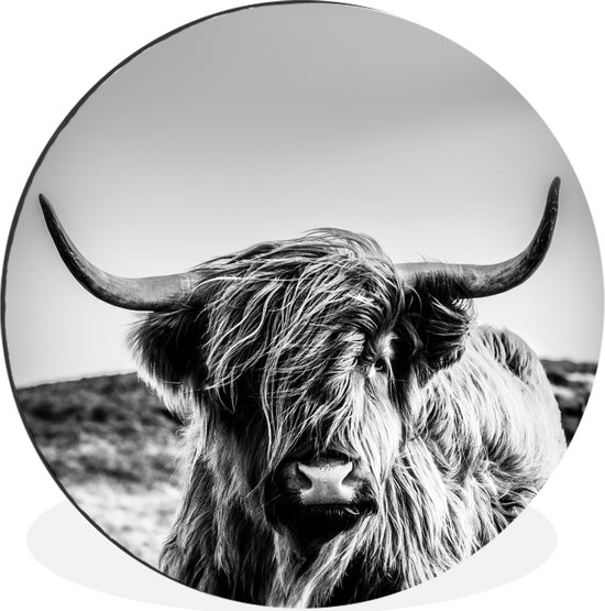 WallCircle - Cercle Mural - Cercle Mural - Vache - Highlander écossais - Zwart - Wit - Animal - Nature - Sauvage - Aluminium - Dibond - 120x120 cm - Intérieur et Extérieur XXL