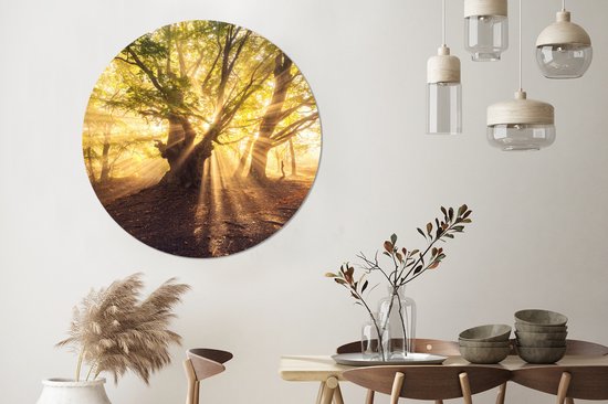 WallCircle - Stickers muraux - Cercle de papier peint - Arbre - Forêt - Soleil - 120x120 cm - Cercle mural - Autocollant - Autocollant de papier peint rond XXL