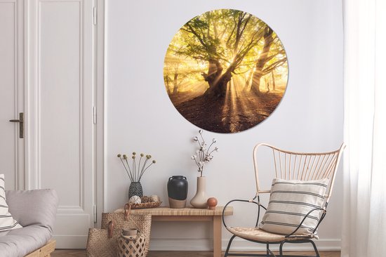 WallCircle - Stickers muraux - Cercle de papier peint - Arbre - Forêt - Soleil - 120x120 cm - Cercle mural - Autocollant - Autocollant de papier peint rond XXL