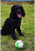 Gioco - baseball/baseball - balle pour chien - jouet pour chien