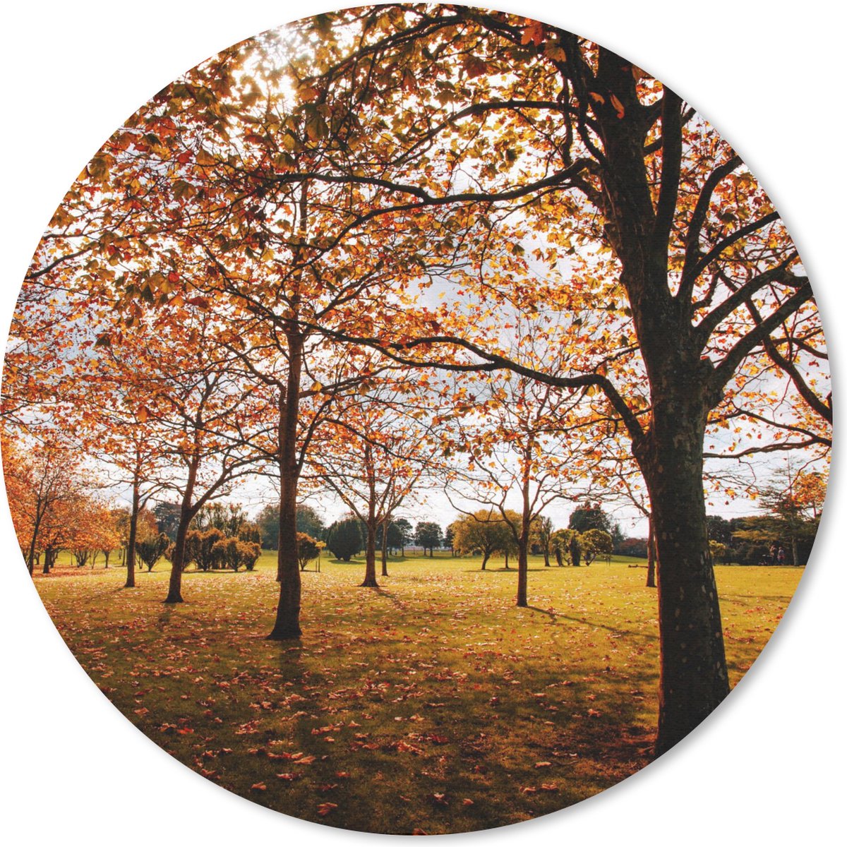 Muismat rond 20x20 cm - Mousepad Herfst - Herfstbladeren - Natuur - Ronde muismatten