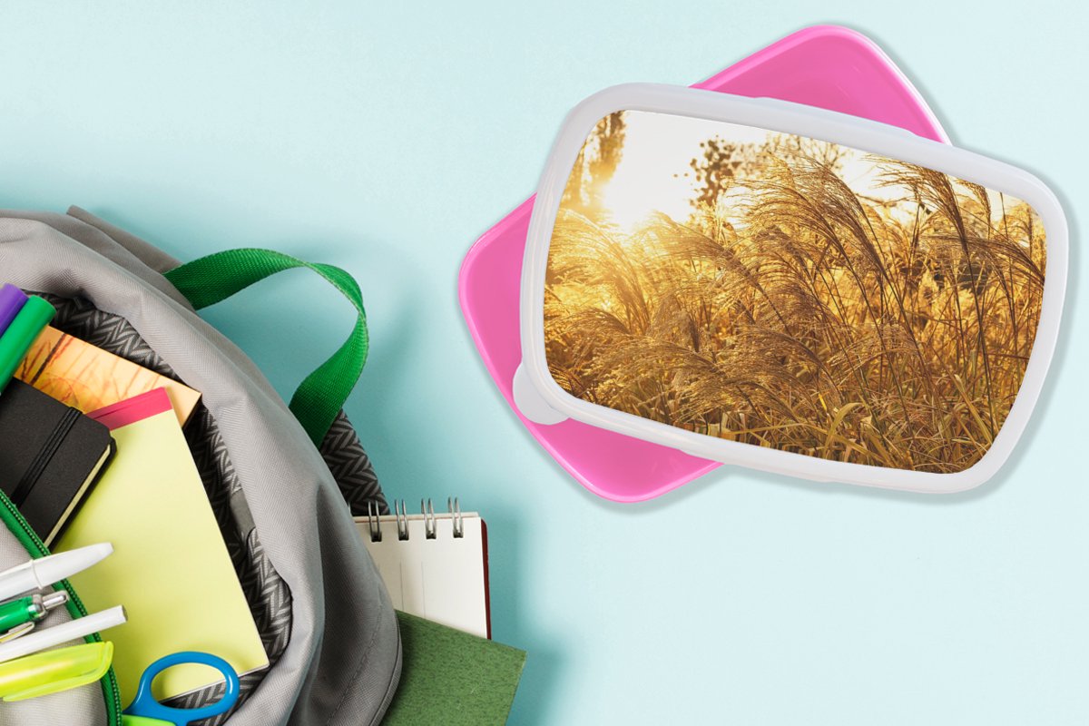 Broodtrommel Roze - Lunchbox - Brooddoos - Pampasgras - Zon - Gras - 18x12x6 cm - Kinderen - Meisje