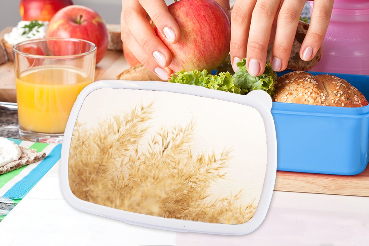 Broodtrommel Blauw - Lunchbox - Brooddoos - Pampasgras - Zon - Gras - 18x12x6 cm - Kinderen - Jongen