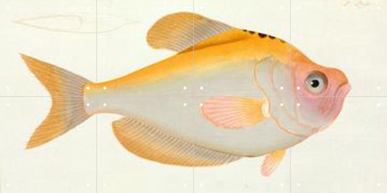 IXXI Yellow Fish - Wanddecoratie - Dieren en insecten - 80 x 40 cm