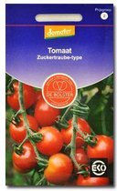 De Bolster groenten - Tomaat Zuckertraube Tomaat zuckertraube