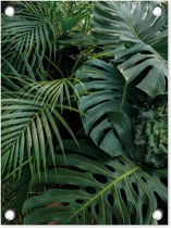 Tuin decoratie Planten - Jungle - Bladeren - Tropisch - 30x40 cm - Tuindoek - Buitenposter