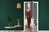 Deurposter - Schotse hooglander - Dieren - Koe - Natuur - Deursticker - Fotobehang deur - Deur decoratie - Sticker zelfklevend - Slaapkamer - 95x215 cm - Toilet - Badkamer