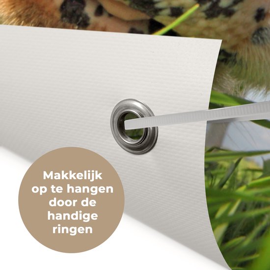 Poster de jardin Vache - Ferme - Herbe - Animaux - 30x60 cm - Toile jardin - Poster extérieur