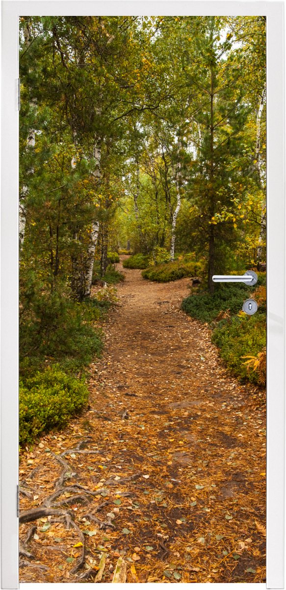 Deurposter 95x215 cm - Deursticker Bos - Pad - Herfst - Bladeren - Meubelfolie zelfklevend