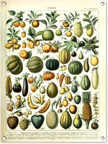 Tuinschilderij Fruit - Eten - Design - Vintage - Adolphe Millot - 60x80 cm - Tuinposter - Tuindoek - Buitenposter