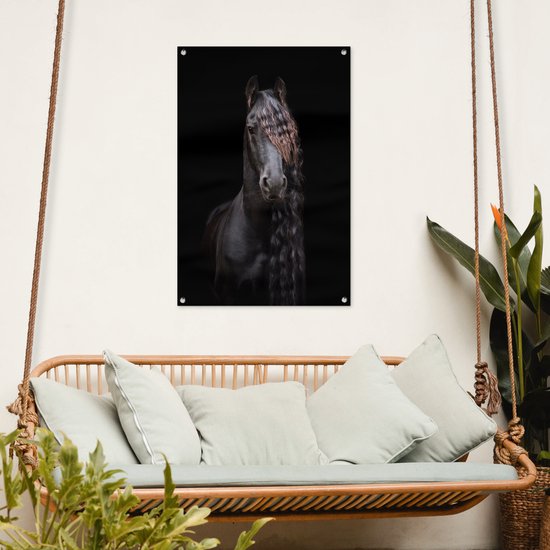 Portrait d'un cheval frison sur fond noir affiche de jardin toile en vrac 60x90 cm - Toile de jardin / Toile d'extérieur / Peintures d'extérieur (décoration de jardin)