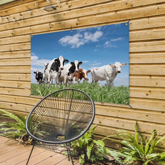Affiche jardin - Toile jardin - Affiches jardin extérieur - Vaches - Campagne - Pâturage - Nature - Animaux - Posters de jardin cm - Jardin