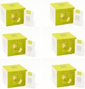 Legends of tea Green Tea Lemon Ginger, 2 gr per zakje, doosje 6X24 zakjes