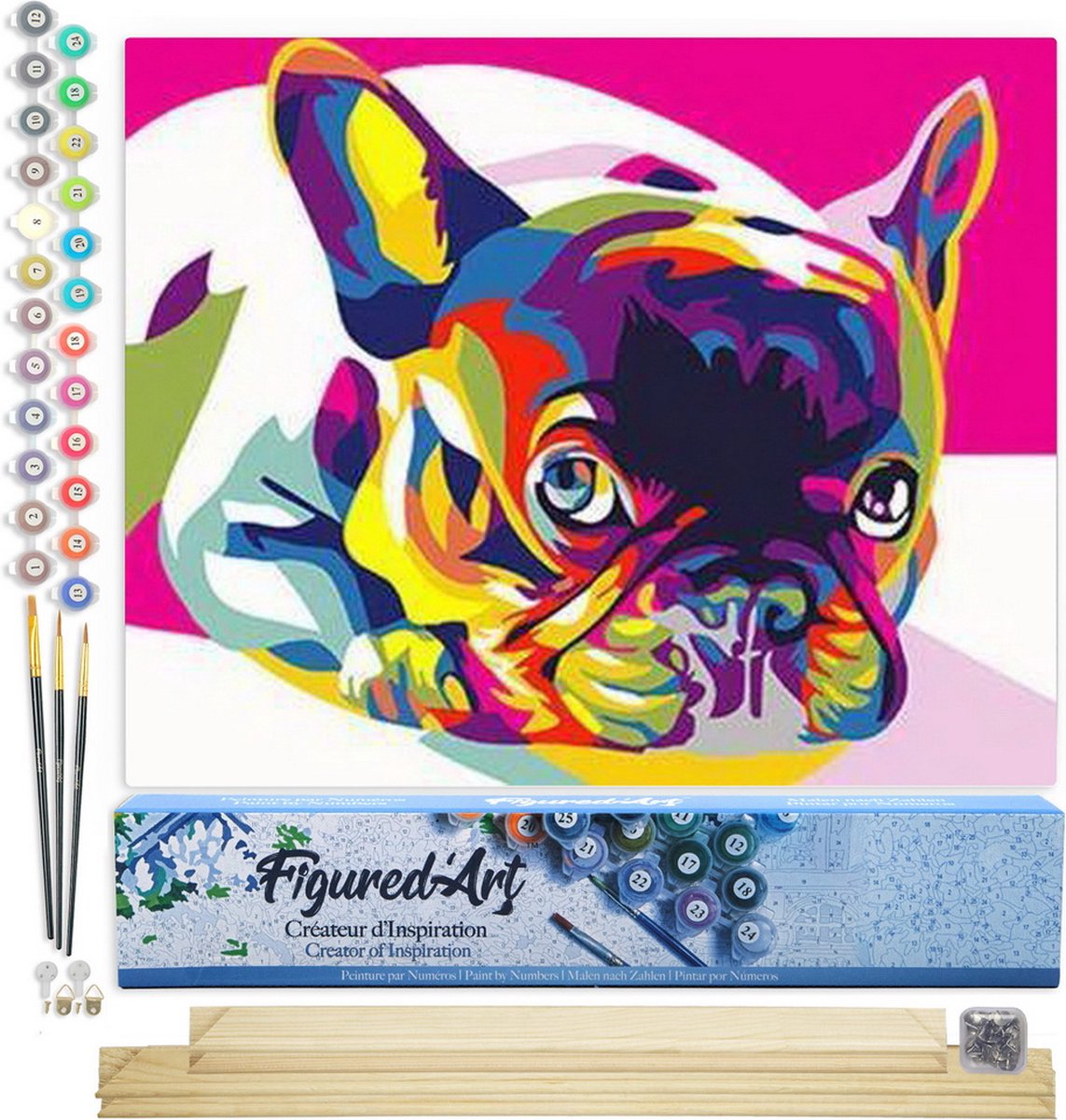 Figured'Art Peinture Par Numéros Petit Chien Coloré – Toile 40x50 Cm, Peinture Acrylique, 3 Pinceaux – Kit DIY Français – Sans Cadre