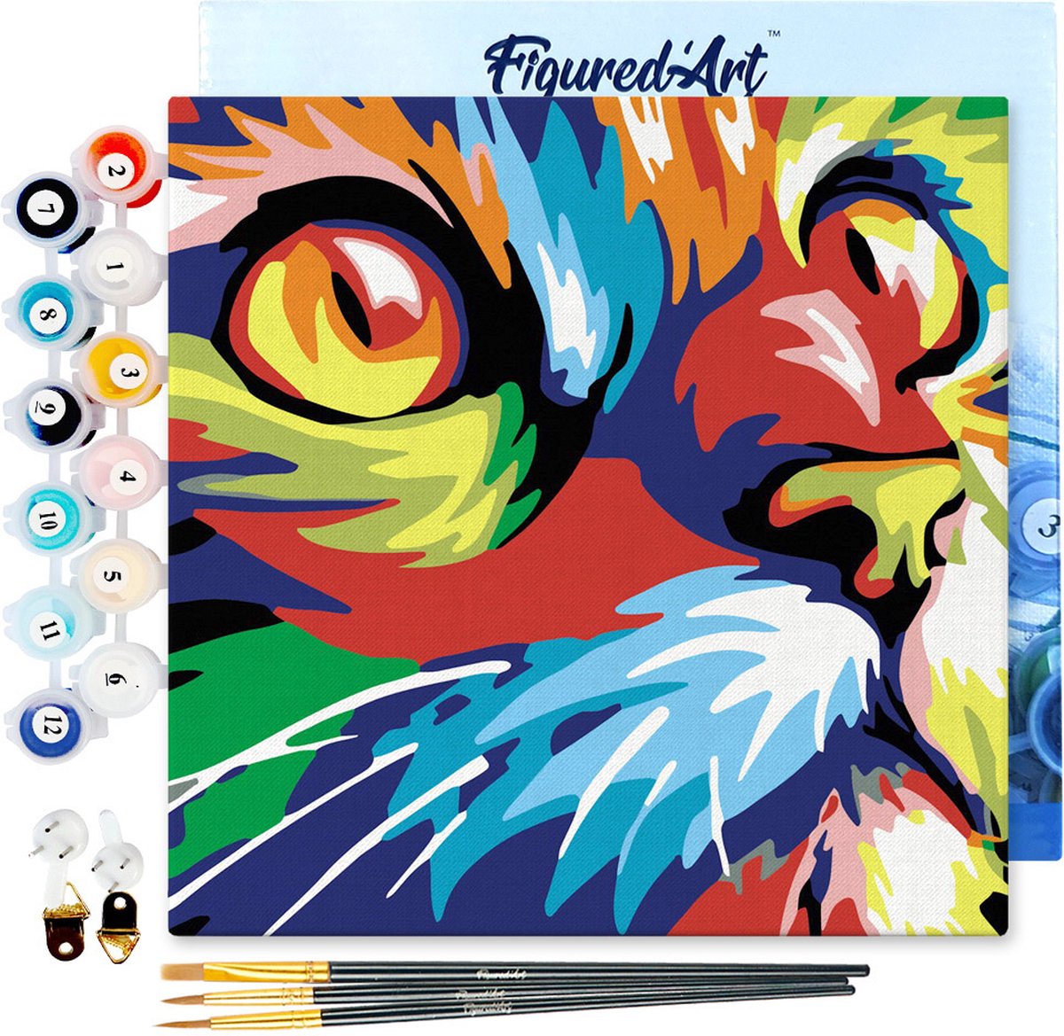 Figured'Art Mini Schilderen op Nummer Volwassenen 20x20cm met lijst Katachtige Pop Art - Klein Formaat Creatieve Hobby Kit DIY Art Nummer Compleet