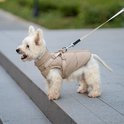 West Highland White Terrier in beige hondenjas met verstelbare banden.