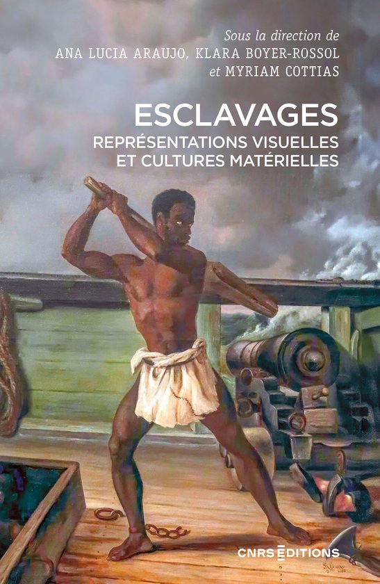 Histoire - Esclavages. Représentations visuelles et culture ... - cover