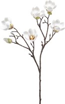 Emerald - Kunstbloem Magnolia mini 65cm crème - Kunstplanten voor binnen