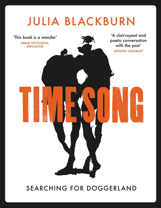 Time Song - cover
