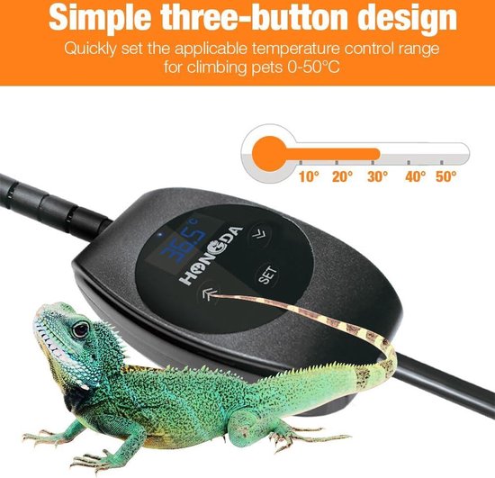 Reptielen
