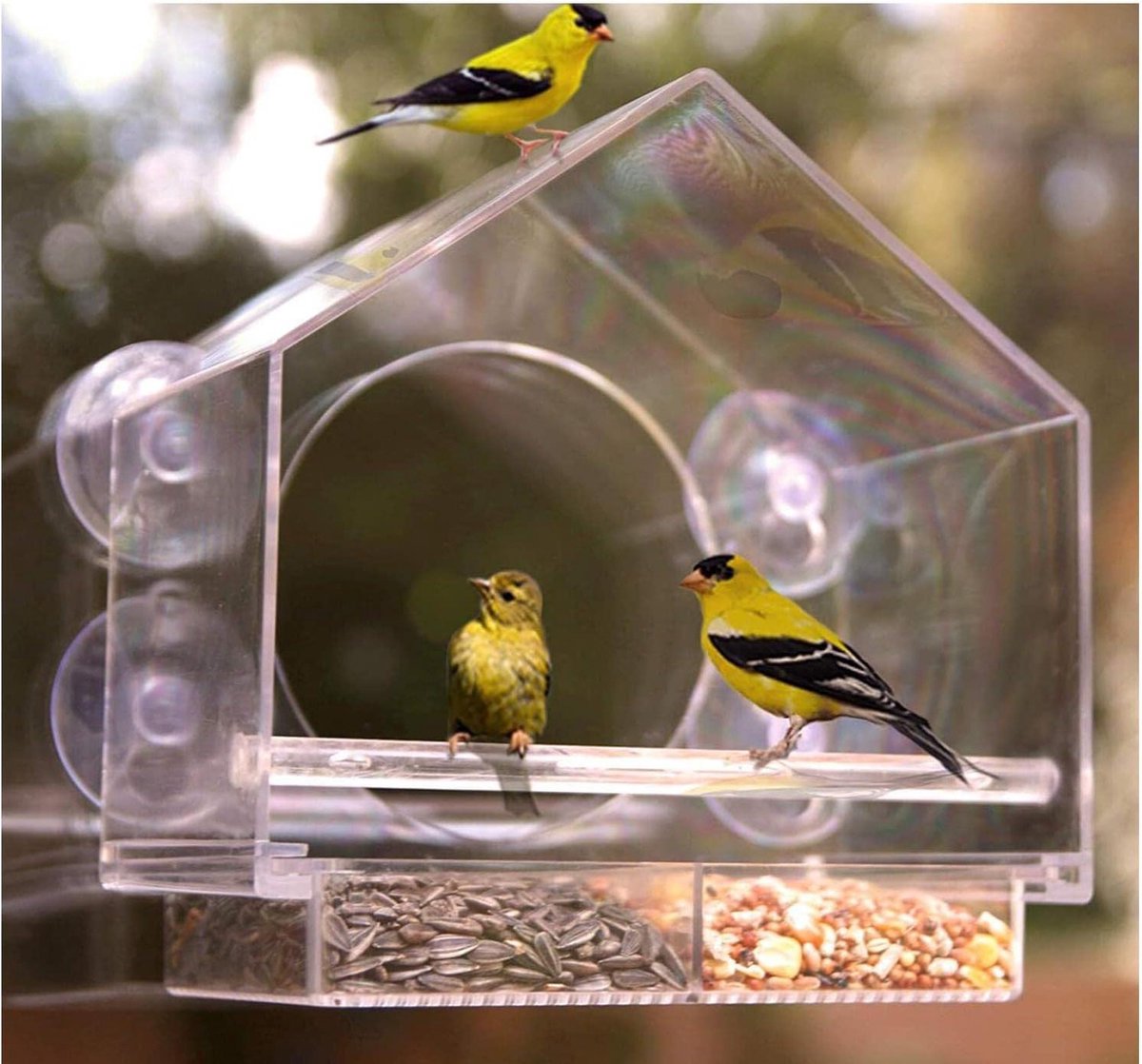 Vogelhuisje Raamvoederhuis met Zuignappen Voedseldispenser Acryl Vensterruit Wilde Vogels