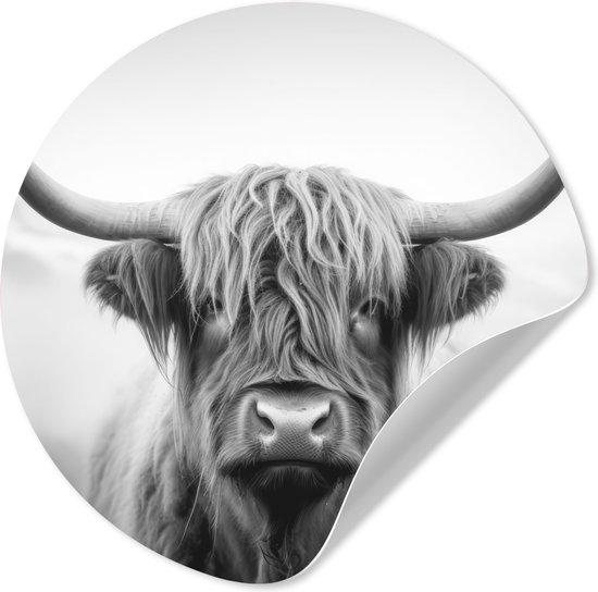 WallCircle® - Behangcirkel 50x50 cm - Muurstickers Schotse hooglander - Dieren portret - Zwart - Wit - Dier - Muurcirkel woonkamer - Wandcirkel slaapkamer - Kamer decoratie zelfklevend - Muurdecoratie accessoires