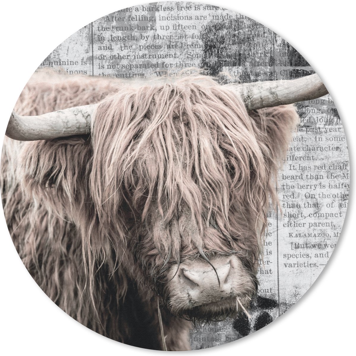 Muismat rond 40x40 cm - Mousepad Schotse hooglander - Krant - Retro - Ronde muismatten