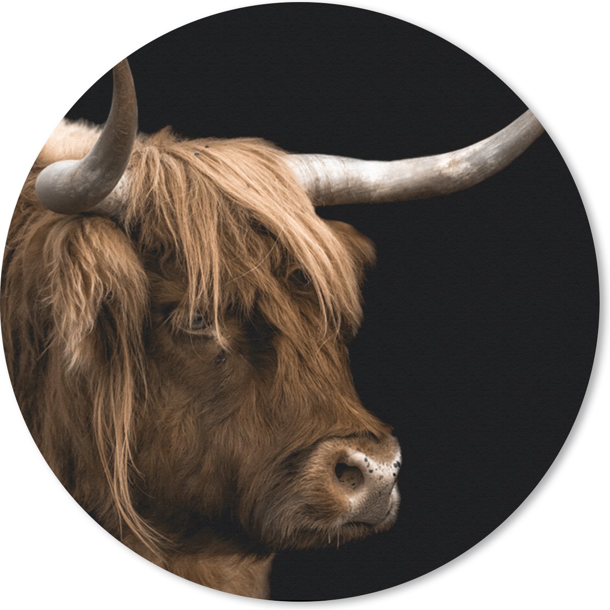 Muismat rond 50x50 cm - Mousepad Schotse hooglander - Vacht - Dier - Ronde muismatten