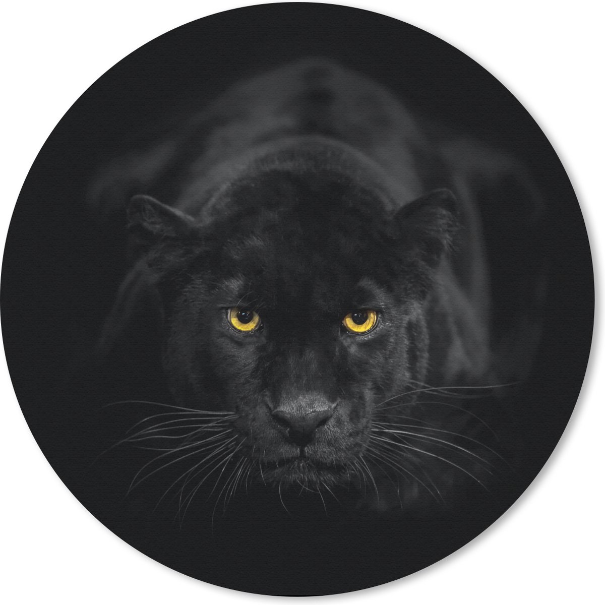 Muismat rond 20x20 cm - Mousepad Panter - Dieren - Zwart - Ogen - Ronde muismatten