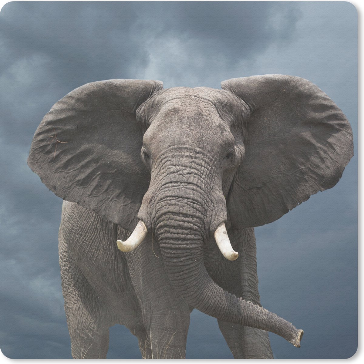 Muismat 20x20 cm - Mousepad Olifant - Wolken - Dieren - Natuur - Muismatten