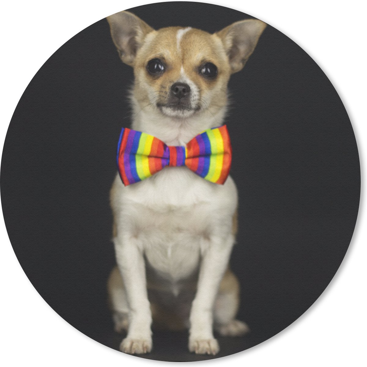 Muismat rond 20x20 cm - Mousepad Hond - Strik - Zwart - Ronde muismatten