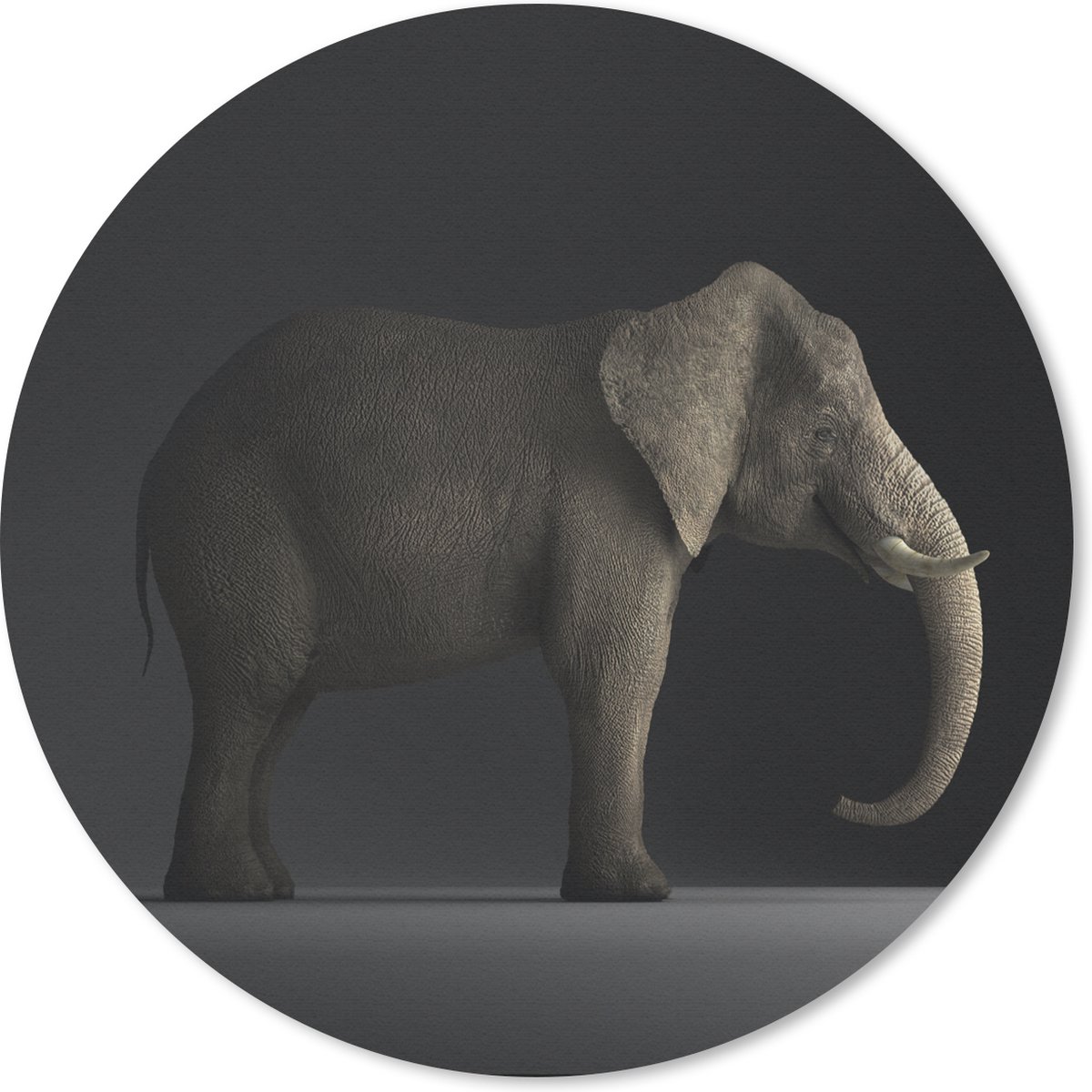Muismat rond 20x20 cm - Mousepad Olifant - Dieren - Licht - Ronde muismatten
