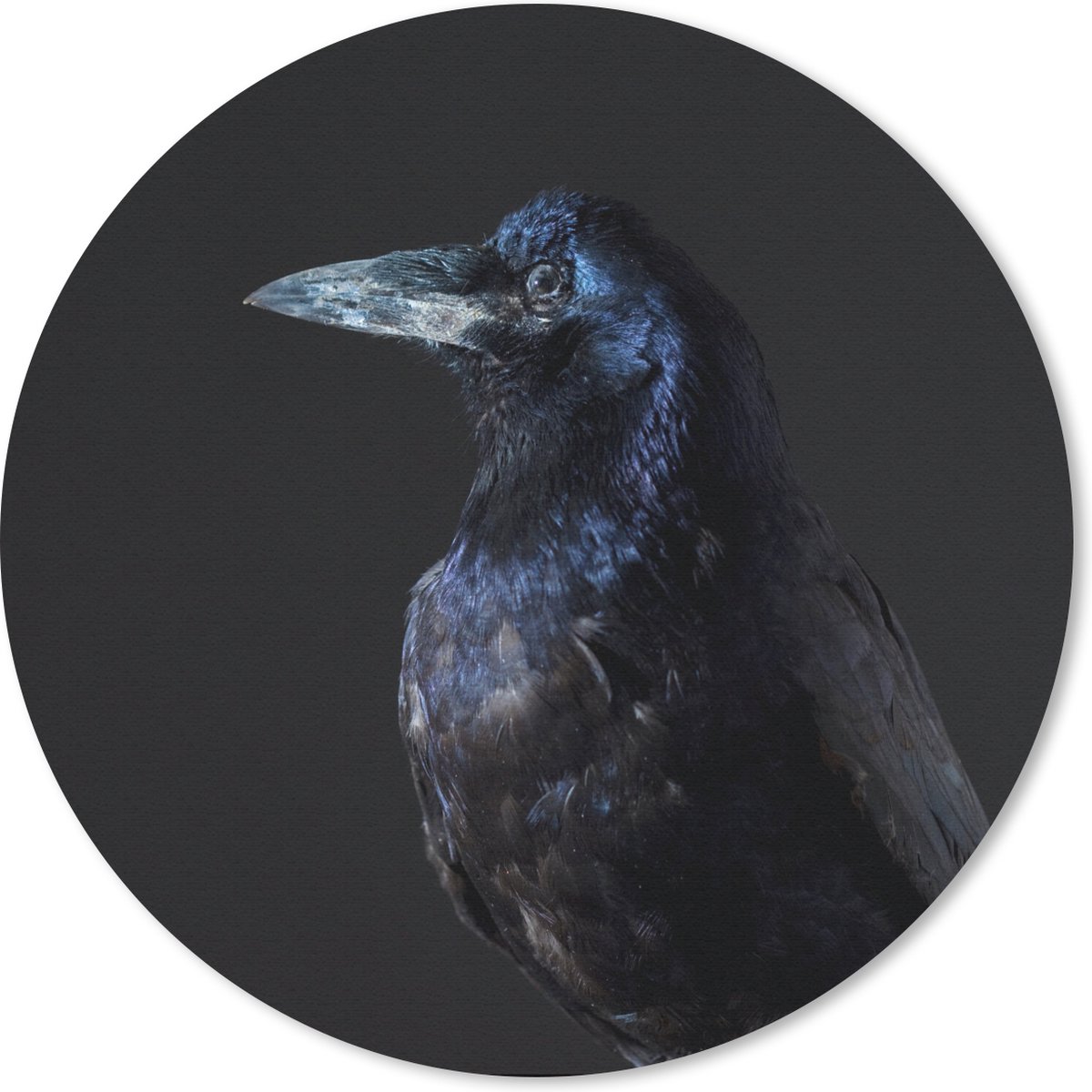 Muismat rond 40x40 cm - Mousepad Vogel - Dieren - Zwart - Ronde muismatten