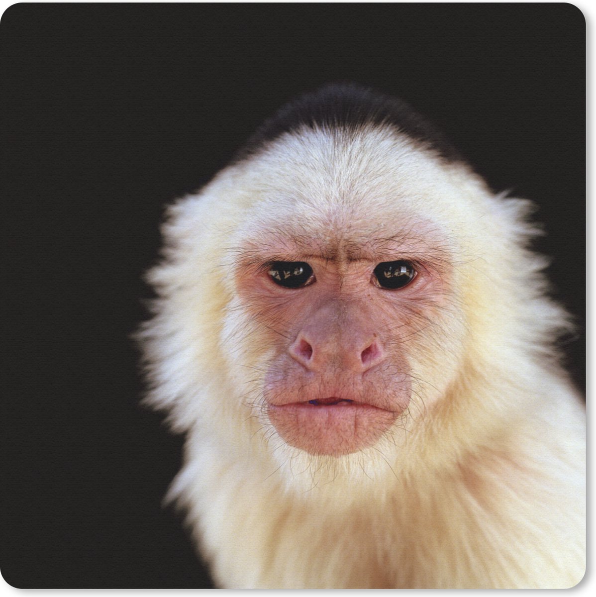 Muismat 30x30 cm - Mousepad Aap - Vacht - Zwart - Muismatten