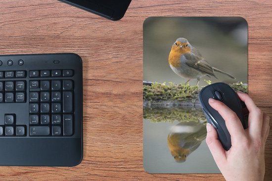 Muismat 18x27 cm - Mousepad Roodborstje - Water - Mos - Muismatten