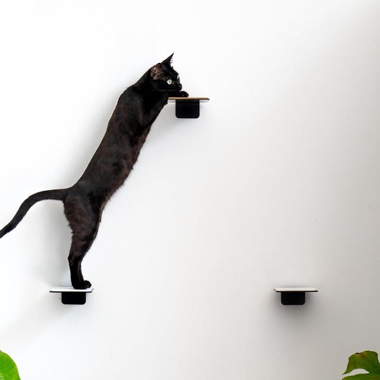 WOOWOOD® Kattenklimwand incl. 2X kattentrap [uit Europa] I kattenbedwand 3-delig I klimmuurset I kattenwand I wandligstoel katten I kattenplateau I kattenplank