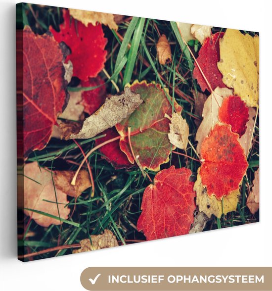 Tableau Toile Feuilles - Novembre - Automne - Nature - 40x30 cm - Décoration murale