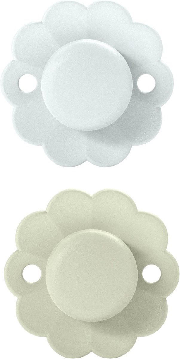Goedkoopste Suavinex Wonder Reversible Duo Aqua/Blue 0-6m 2 stuks Silicone Fopspenen SXSWP1084383