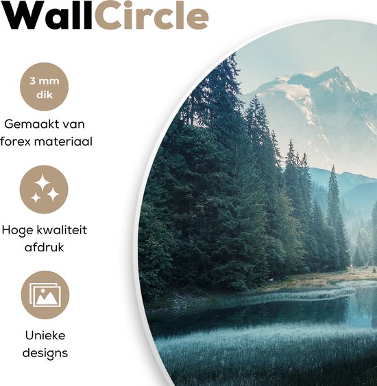 WallCircle - Cercle Mural - Branches - Nature - Arbres - Cercle Décoration murale Murale - Cercle Mural - Tableaux Ronds - 140x140 cm - Cercle Mural - Plastique