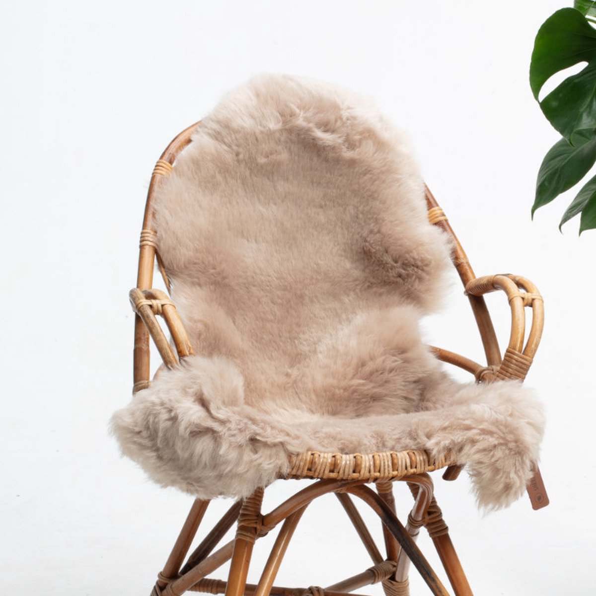 SHEEPY® | Schapenvacht | Kristjana (Beige) M (100-105cm) - Sheepy.cc