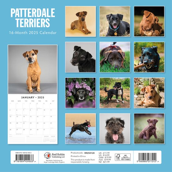Patterdale Terrier Calendrier 2025