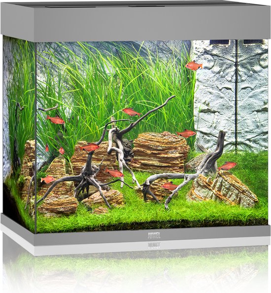 Juwel Aquarium Lido 120 Led 61x41x58 cm - Aquaria - Grijs Ca. 120 L