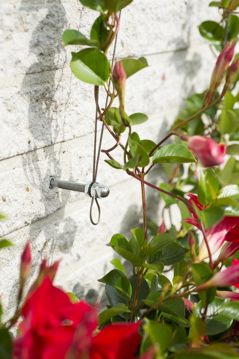 De Wiltfang Klimplantensysteem - Klimdraad voor planten - 10m draad