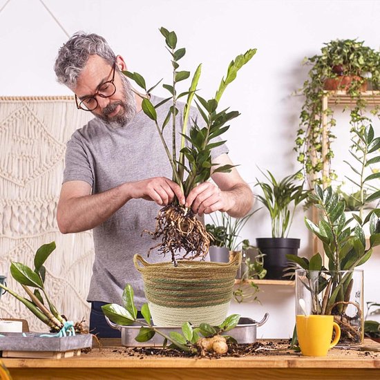 Set van 3 bloempotten, rond, gevlochten, van zeegras, met kunststof inzetstuk voor het... | bol