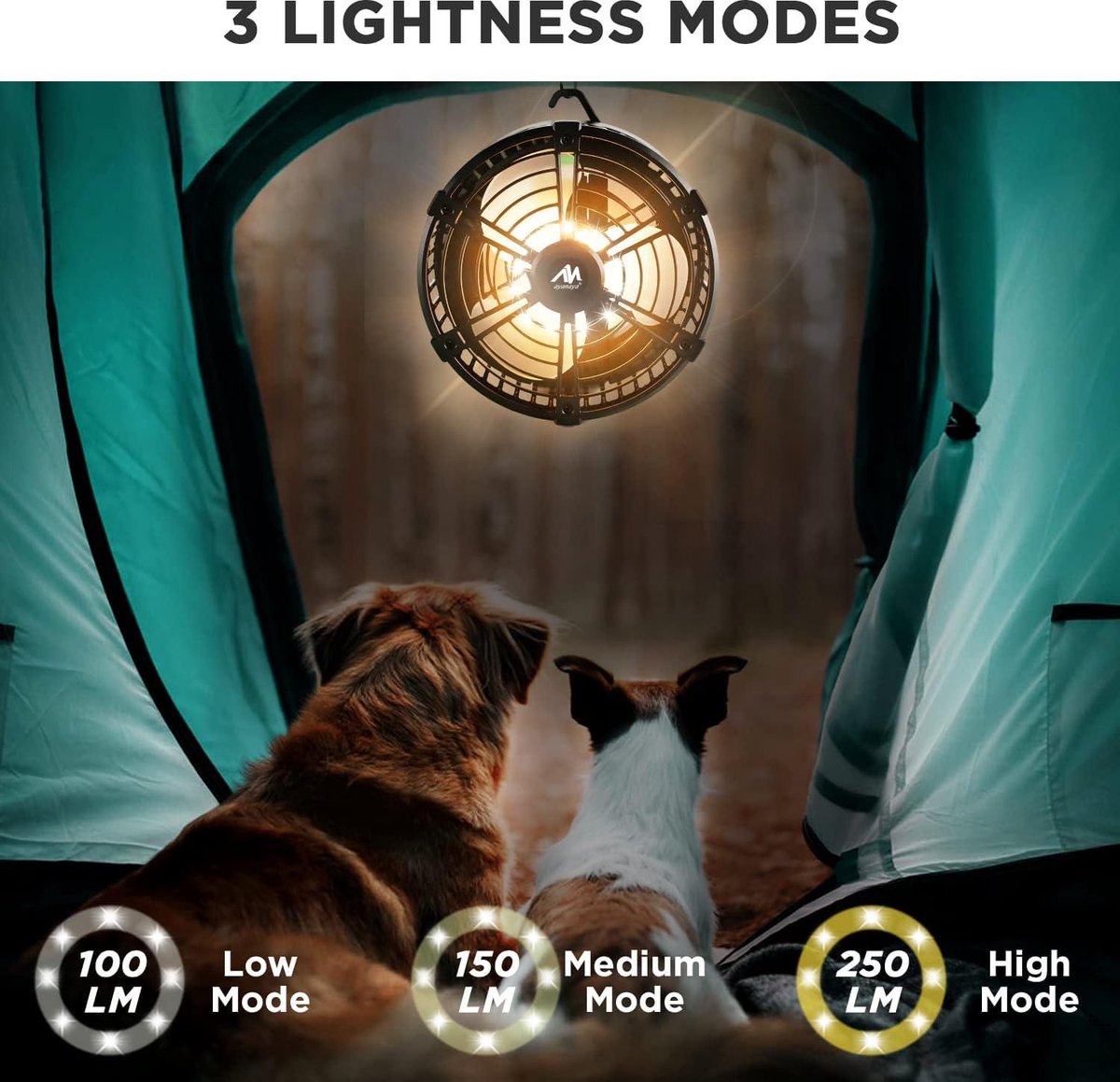 Camping